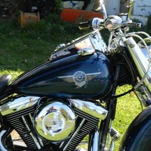 Meet your Posher, Donald